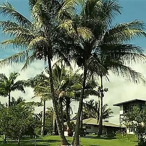 4* Guest house Island Goode's - Luxury Adult Only Near Hilo